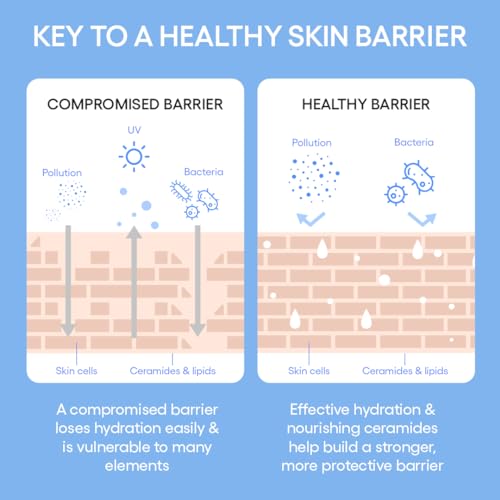 LANEIGE Cream Skin Toner & Moisturizer: Lightweight Refillable Korean Milky Toner with Ceramide & Peptide for Hydration, Firming, & Barrier Support