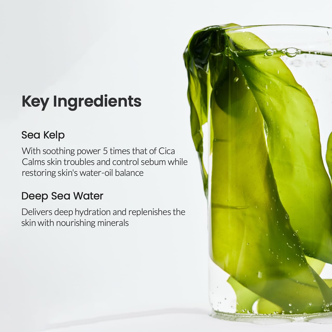 BIODANCE Clear Glow Mask Duo: Bio Collagen & Refreshing Sea Kelp Real Deep Mask