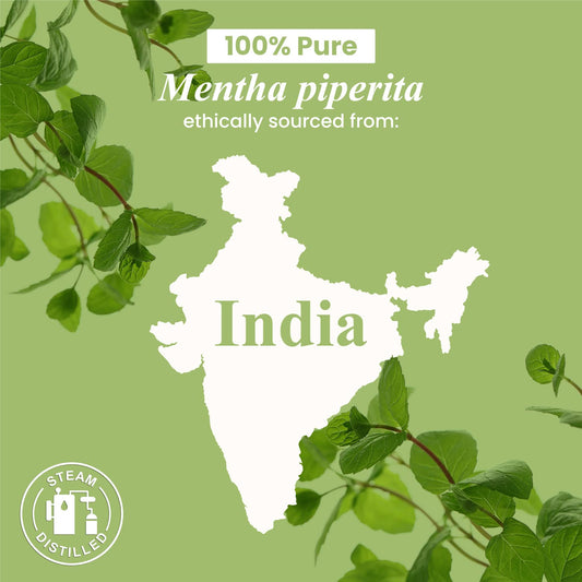 Handcraft Blends Peppermint Essential Oil - Huge 4 Fl Oz - 100% Pure and Natural - Premium Grade Essential Oil for Diffuser and Aromatherapy, and DIY Soap Making