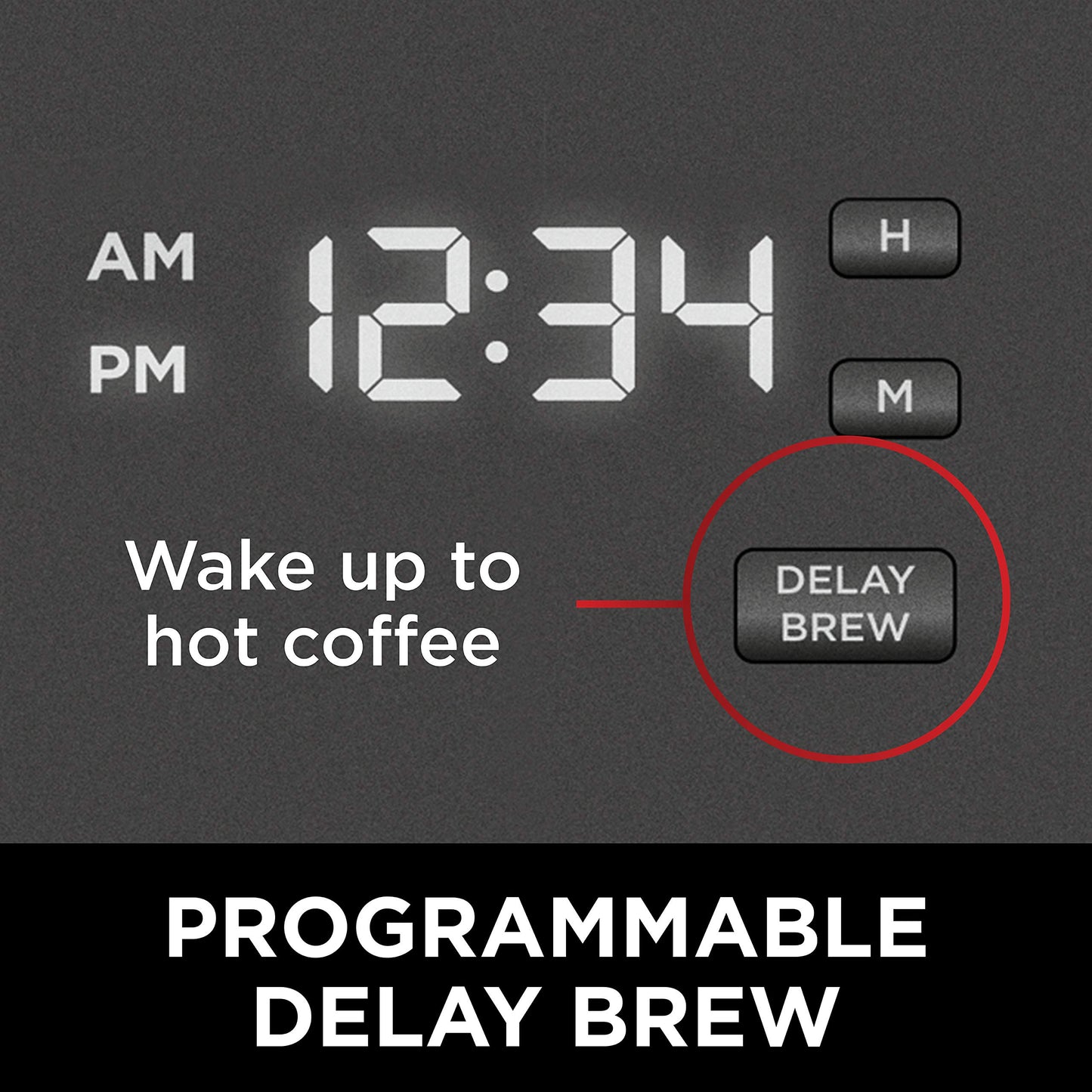 Ninja 12-Cup Programmable Brewer CE251 Coffee Maker, 60 oz, Black/Stainless Steel (Renewed)