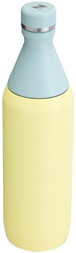 Stanley All Day Slim Bottle 20 oz | Leakproof Twist on Lid | Slim Design for Travel and Gym | Insulated Stainless Steel Water Bottle | BPA-Free | Pomelo