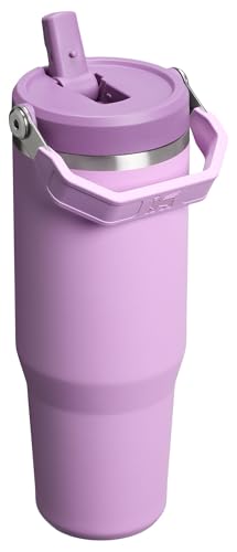 Stanley IceFlow 2.0 Flip Straw Tumbler with Handle 30 oz | Twist On Lid and Flip Up Straw | Leak Resistant Water Bottle | Insulated Stainless Steel | BPA-Free | Lilac