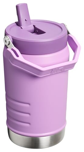 Stanley IceFlow 2.0 Flip Straw Jug with Handle 40 oz | Twist On Lid and Flip Up Straw | Leakproof for Travel and Sports | Insulated Stainless Steel |BPA-Free | Lilac