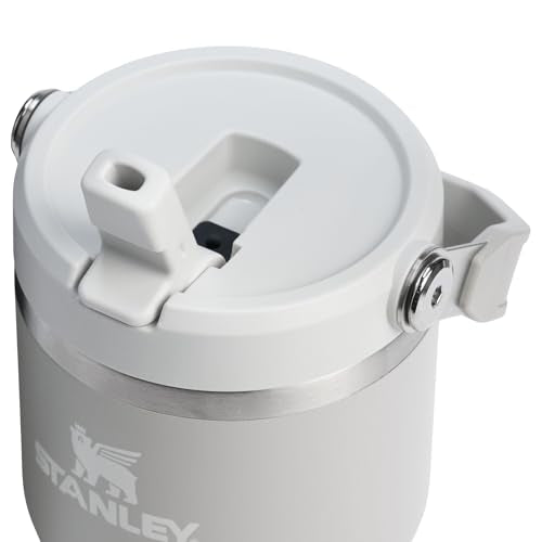 Stanley IceFlow 2.0 Flip Straw Tumbler with Handle 20 oz | Twist On Lid and Flip Up Straw | Leak Resistant Water Bottle | Insulated Stainless Steel | BPA-Free | Ash