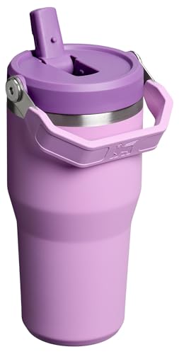 Stanley IceFlow 2.0 Flip Straw Tumbler with Handle 20 oz | Twist On Lid and Flip Up Straw | Leak Resistant Water Bottle | Insulated Stainless Steel | BPA-Free | Lilac