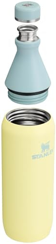Stanley All Day Slim Bottle 20 oz | Leakproof Twist on Lid | Slim Design for Travel and Gym | Insulated Stainless Steel Water Bottle | BPA-Free | Pomelo