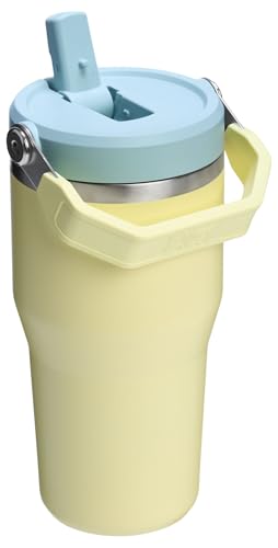 Stanley IceFlow 2.0 Flip Straw Tumbler with Handle 20 oz | Twist On Lid and Flip Up Straw | Leak Resistant Water Bottle | Insulated Stainless Steel | BPA-Free | Pomelo