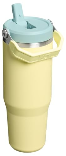 Stanley IceFlow 2.0 Flip Straw Tumbler with Handle 30 oz | Twist On Lid and Flip Up Straw | Leak Resistant Water Bottle | Insulated Stainless Steel | BPA-Free | Pomelo
