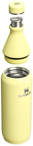Stanley All Day Slim Bottle 20 oz | Twist off Lid with Leakproof Seal | Slim Design for Travel and Gym | Insulated Stainless Steel Water Bottle | BPA-Free | Pomelo Gloss