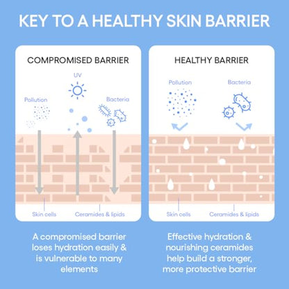 LANEIGE Cream Skin Toner & Moisturizer: Lightweight Refillable Korean Milky Toner with Ceramide & Peptide for Hydration, Firming, & Barrier Support