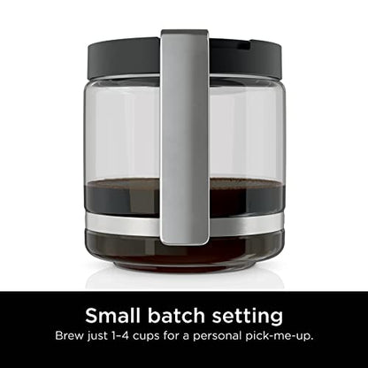 Ninja DCM200C Programmable XL 14-Cup Coffee Maker, 14-Cup Glass Carafe, With Permanent Filter, Stainless Steel, Silver