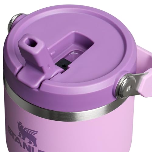 Stanley IceFlow 2.0 Flip Straw Tumbler with Handle 20 oz | Twist On Lid and Flip Up Straw | Leak Resistant Water Bottle | Insulated Stainless Steel | BPA-Free | Lilac