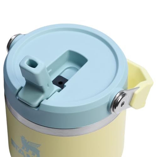 Stanley IceFlow 2.0 Flip Straw Tumbler with Handle 20 oz | Twist On Lid and Flip Up Straw | Leak Resistant Water Bottle | Insulated Stainless Steel | BPA-Free | Pomelo
