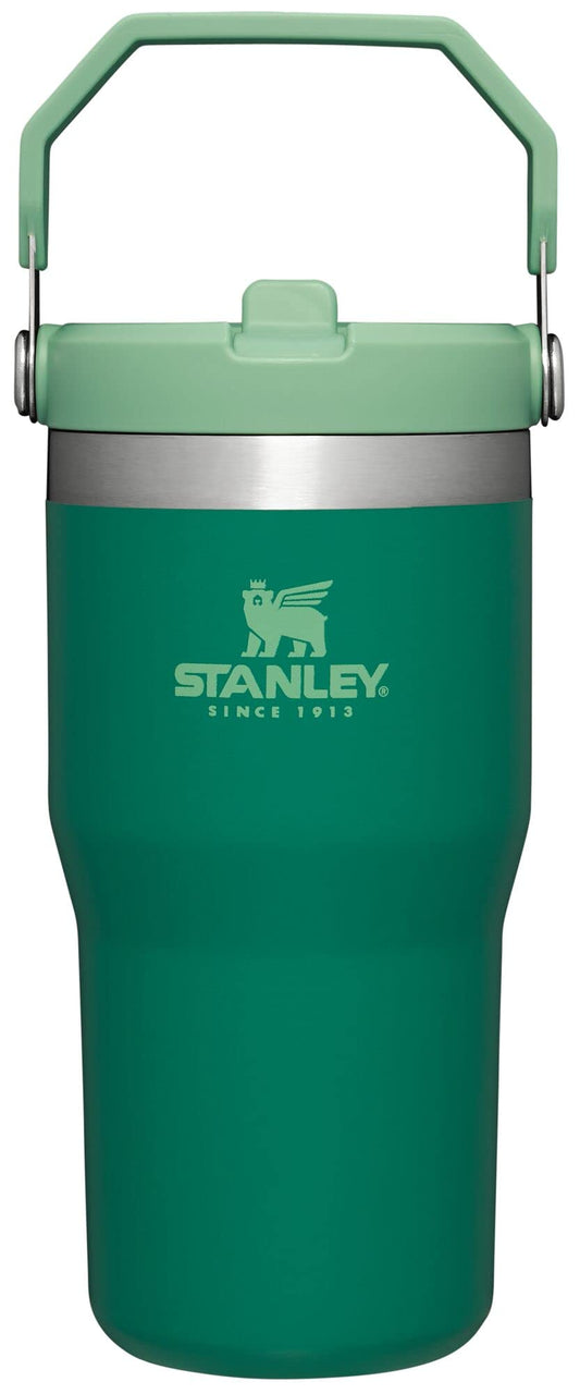 Stanley IceFlow Flip Straw Tumbler with Handle 20 oz | Twist On Lid and Flip Up Straw | Leak Resistant Water Bottle | Insulated Stainless Steel |BPA-Free | Alpine