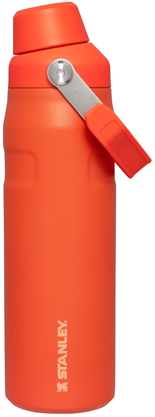 Stanley IceFlow Fast Flow Water Bottle 24 oz | Angled Spout Lid | Lightweight and Leakproof for Travel and Sports | Insulated Stainless Steel | BPA-Free | Tigerlily