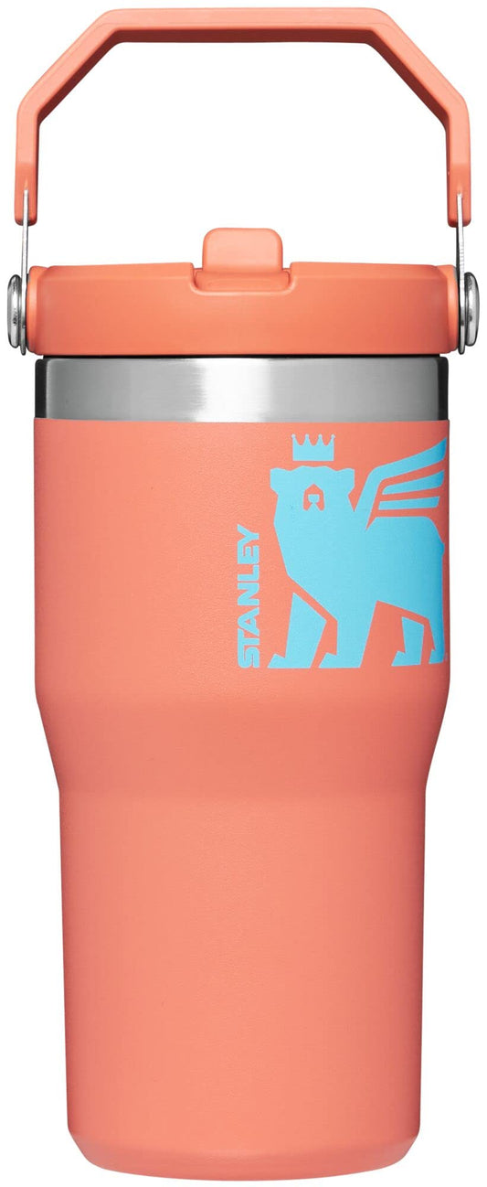 Stanley Classic IceFlow Flip Straw Tumbler for Kids (8 or Above), 20oz, Stan the Bear Stainless Steel , with Double-Wall Vacuum Insulation, 1 Count (Pack of 1)