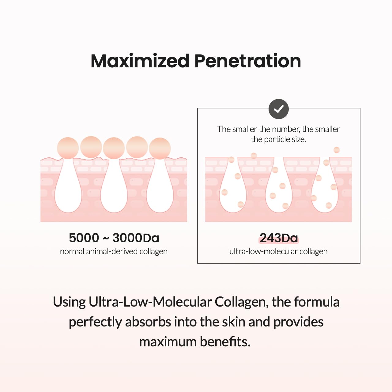 BIODANCE Collagen Duo: Bio-Collagen Real Deep Mask & Collagen Ampoule