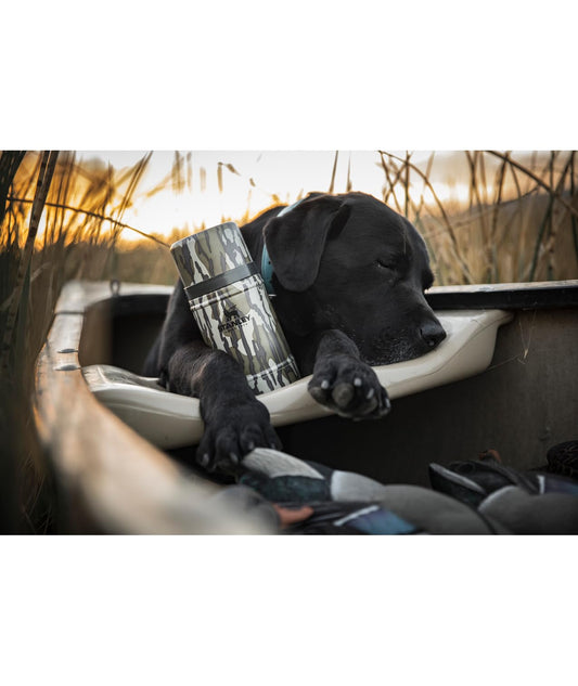 Stanley Classic Legendary Large Food Jar 24 oz | Vacuum Insulated Food Container | Wide Mouth Screw On Lid | Packable for Travel | Stainless Steel & Leakproof Lid | Hammertone Green