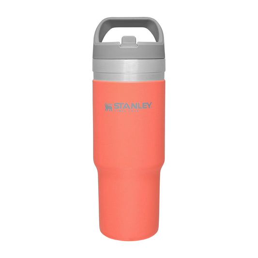 Stanley IceFlow Stainless Steel Tumbler with Straw - Vacuum Insulated Water Bottle for Home, Office or Car - Reusable Cup with Straw Leakproof Flip - Cold for 12 Hours or Iced for 2 Days