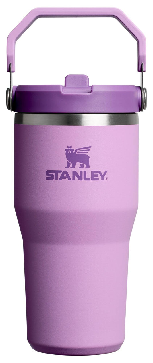 Stanley IceFlow 2.0 Flip Straw Tumbler with Handle 20 oz | Twist On Lid and Flip Up Straw | Leak Resistant Water Bottle | Insulated Stainless Steel | BPA-Free | Lilac