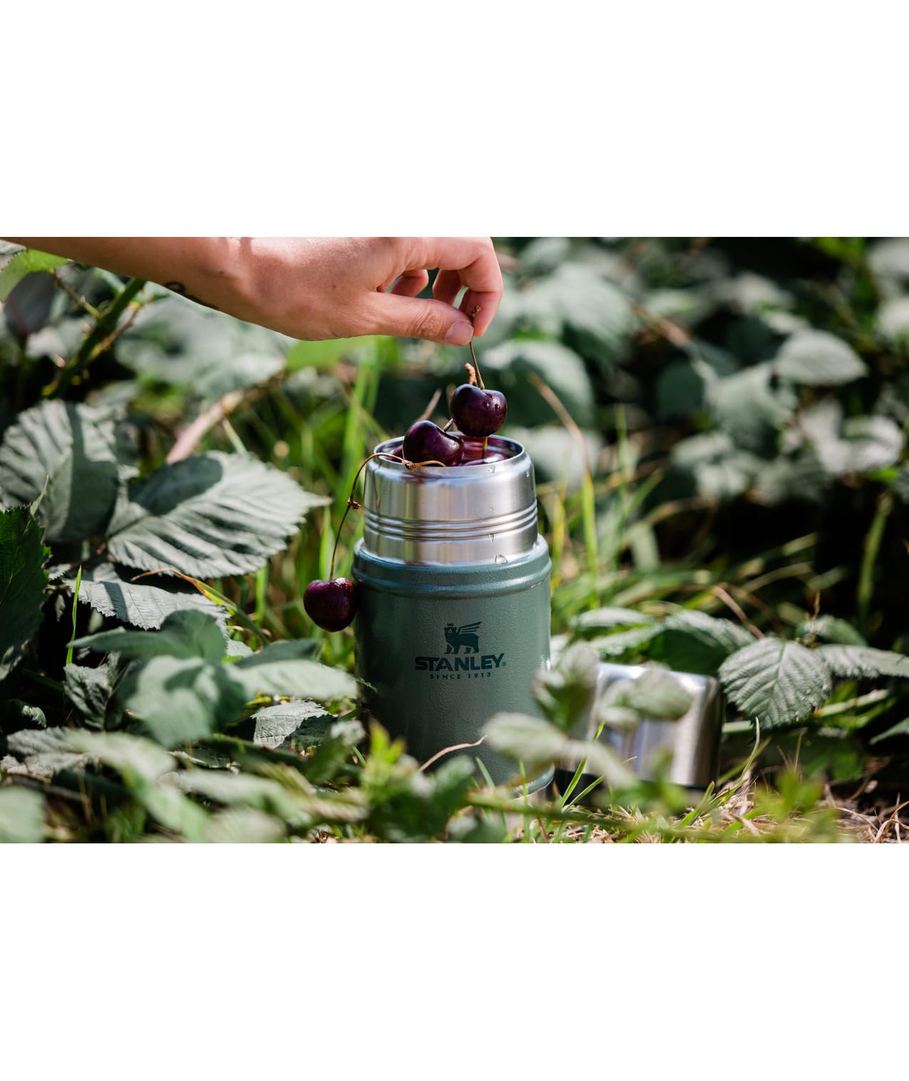 Stanley Classic Legendary Large Food Jar 24 oz | Vacuum Insulated Food Container | Wide Mouth Screw On Lid | Packable for Travel | Stainless Steel & Leakproof Lid | Hammertone Green