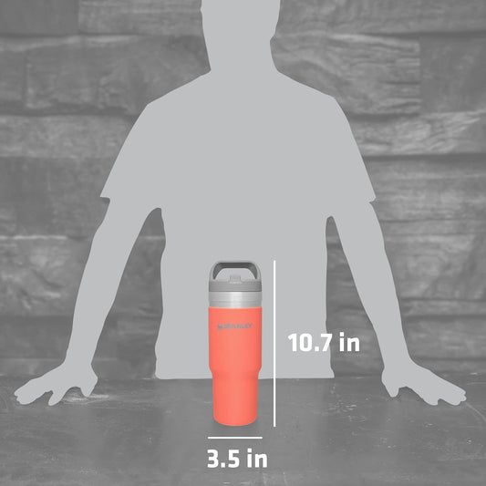 Stanley IceFlow Stainless Steel Tumbler with Straw - Vacuum Insulated Water Bottle for Home, Office or Car - Reusable Cup with Straw Leakproof Flip - Cold for 12 Hours or Iced for 2 Days