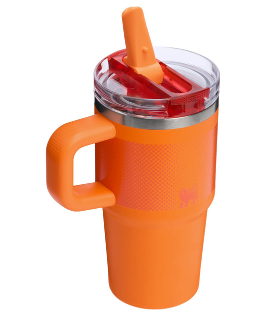Stanley Quencher ProTour Flip Straw Tumbler with Leakproof Lid 20 oz | Built-In Straw and Handle | Cup Holder Compatible for Travel | Insulated Stainless Steel Cup | BPA-Free | Goldenrod Fade