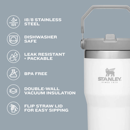 Stanley IceFlow Flip Straw Tumbler with Handle 20 oz | Twist On Lid and Flip Up Straw | Leak Resistant Water Bottle | Insulated Stainless Steel |BPA-Free | Alpine