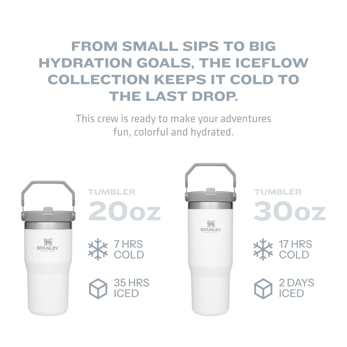 Stanley IceFlow Flip Straw Tumbler with Handle 20 oz | Twist On Lid and Flip Up Straw | Leak Resistant Water Bottle | Insulated Stainless Steel |BPA-Free | Alpine