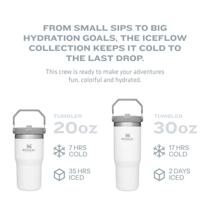 Stanley IceFlow Flip Straw Tumbler with Handle 20 oz | Twist On Lid and Flip Up Straw | Leak Resistant Water Bottle | Insulated Stainless Steel |BPA-Free | Alpine