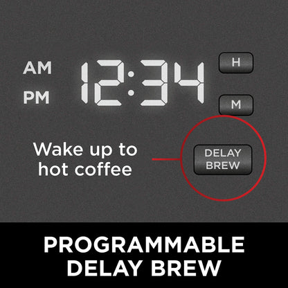 Ninja 12-Cup Programmable Brewer CE251 Coffee Maker, 60 oz, Black/Stainless Steel (Renewed)